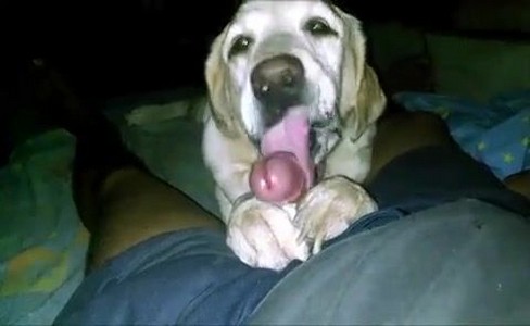  .     :   