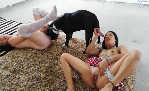  .    